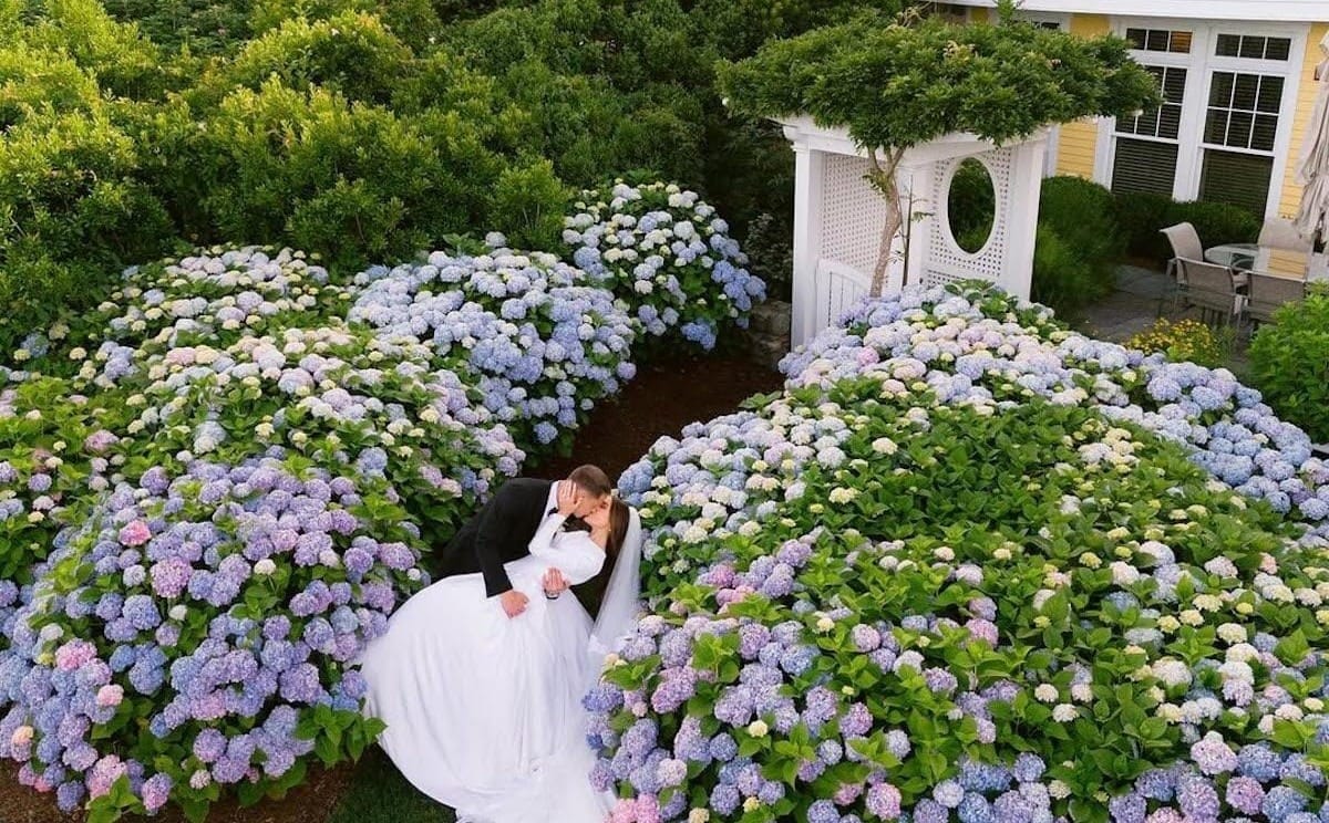 What is Pretty Perspectives by StyleMePretty?